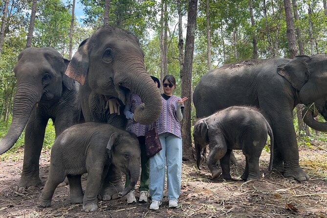 Chiang Mai 1 Day: Elephant Sanctuary, Waterfall & Bamboo Rafting - Lunch beside Mae Saphok Waterfall