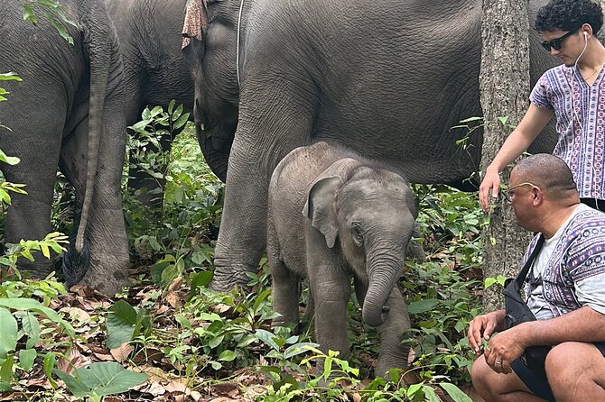 Chiang Mai 1 Day: Elephant Sanctuary, Waterfall & Bamboo Rafting - Bamboo rafting through the countryside