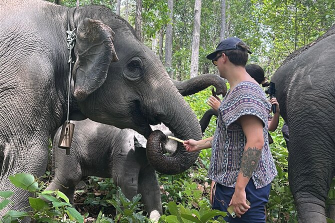 Chiang Mai 1 Day: Elephant Sanctuary, Waterfall & Bamboo Rafting - What the $77.99 price includes