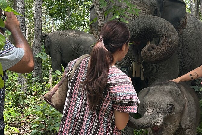 Chiang Mai 1 Day: Elephant Sanctuary, Waterfall & Bamboo Rafting - Timing, comfort, and what to bring