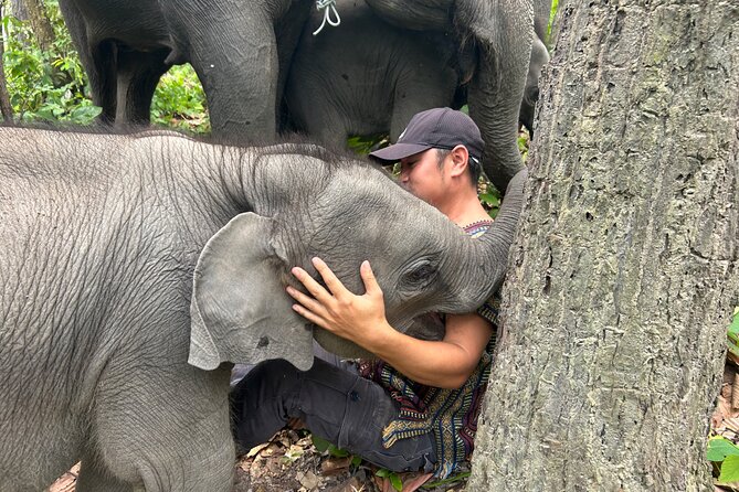 Chiang Mai 1 Day: Elephant Sanctuary, Waterfall & Bamboo Rafting - Why the Karen connection matters