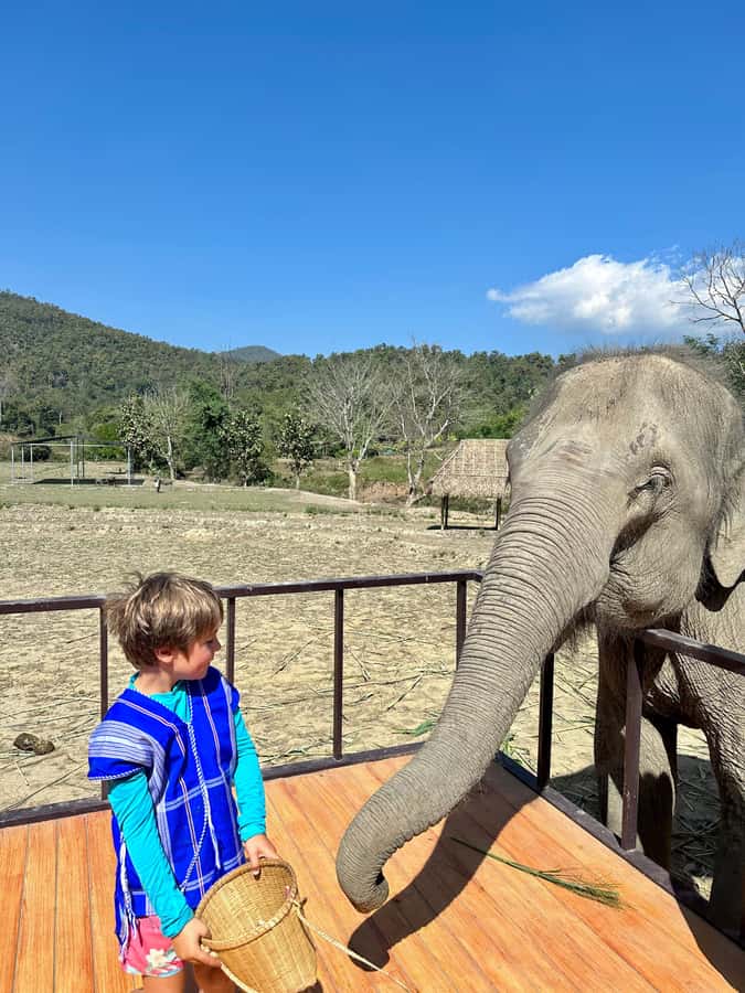 Chiang Mai: 2-Day Tour with Rafting, Elephants, and Waterfall - The waterfall house and an authentic Thai dinner
