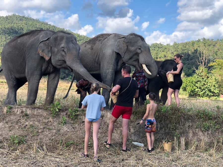 Chiang Mai: 2-Day Tour with Rafting, Elephants, and Waterfall - What the $173 price really buys you