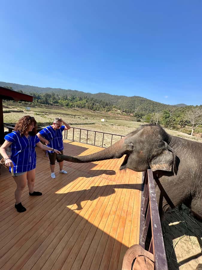 Chiang Mai: 2-Day Tour with Rafting, Elephants, and Waterfall - Practical fit: who should book and who should skip it