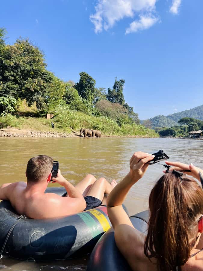 Chiang Mai 2-Day: Trekking, Tubing & Elephant Observation - Key points at a glance