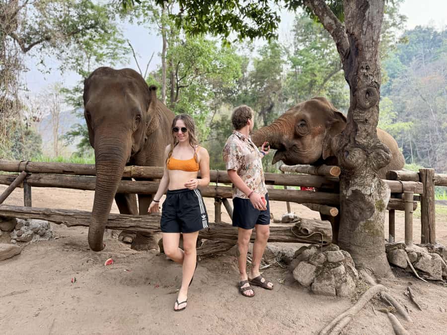 Chiang Mai 2-Day: Trekking, Tubing & Elephant Observation - Who will enjoy this Chiang Mai overnight trip?