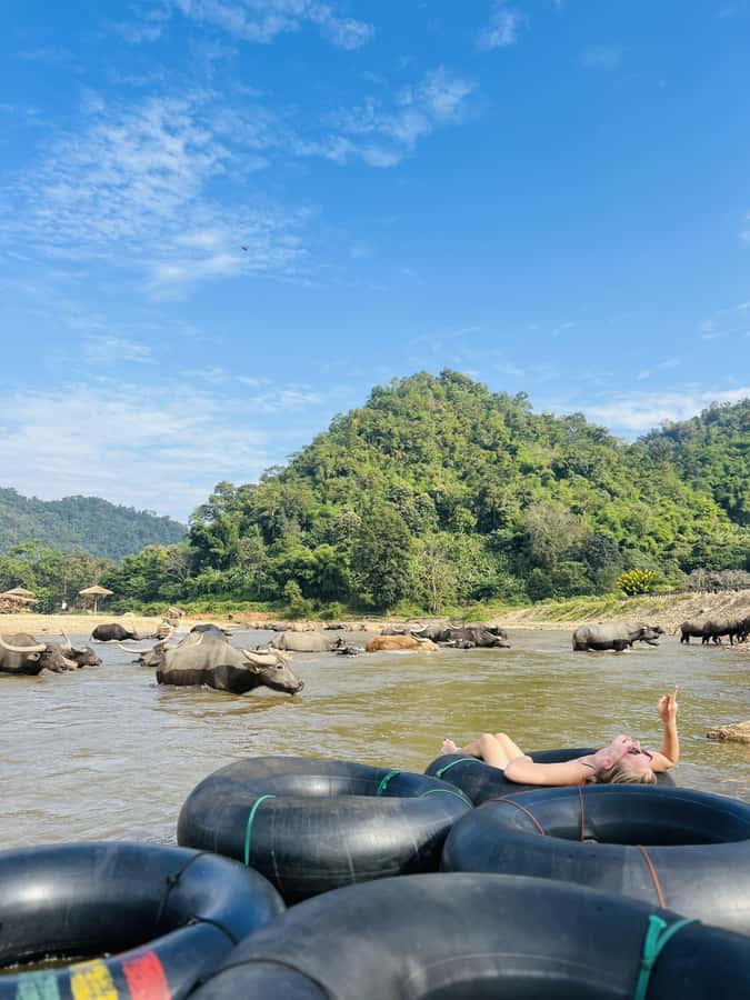 Chiang Mai 2-Day: Trekking, Tubing & Elephant Observation - Floating past elephants on the Mae Taeng River
