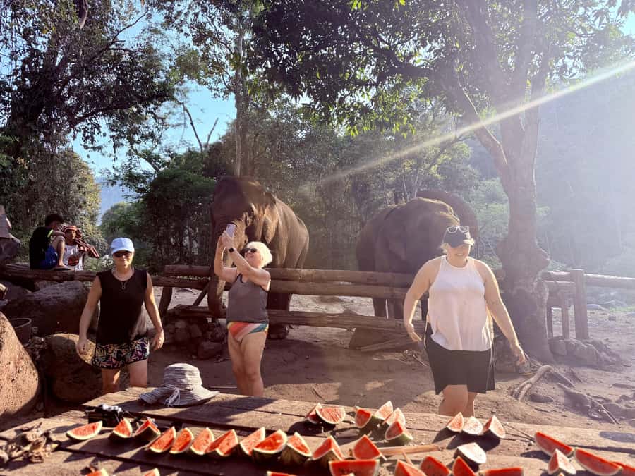 Chiang Mai 2-Day: Trekking, Tubing & Elephant Observation - A quiet second morning and an easy return