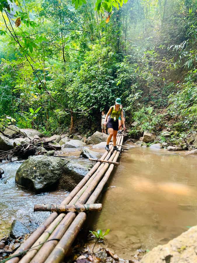 Chiang Mai 2-Day: Trekking, Tubing & Elephant Observation - What the $102 price really covers