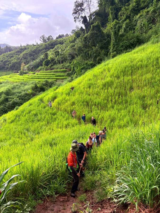 Chiang Mai: 2-Days Jungle Trek, Waterfalls and Karen Village - Who should book this experience?