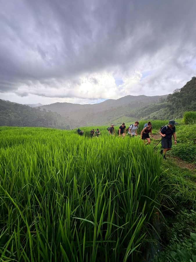 Chiang Mai: 2-Days Jungle Trek, Waterfalls and Karen Village - How difficult is the trek?