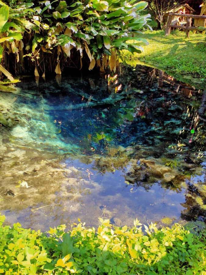 Chiang Mai: 22 km XC Mountain Biking from Sticky Waterfall - Guides, gear, and the support system