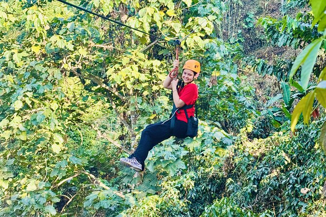 Chiang Mai 3 in 1 Zipline, Elephants and Sticky Waterfall - Why this three-part Chiang Mai day works