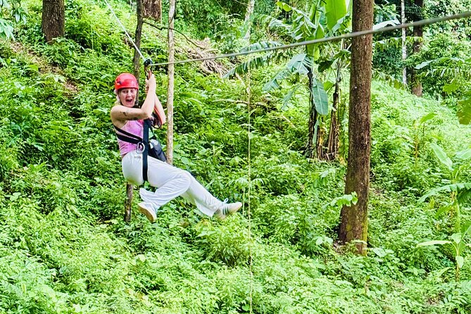 Chiang Mai 3 in 1 Zipline, Elephants and Sticky Waterfall - Meeting rescued elephants with a caretaker
