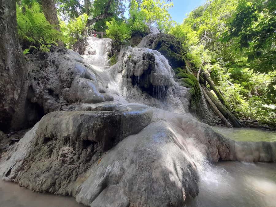 Chiang Mai: 4-Hour Sticky Waterfall Private Tour - Why Bua Thong is different from an ordinary waterfall