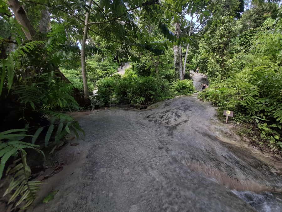 Chiang Mai: 4-Hour Sticky Waterfall Private Tour - Bare feet, shoes, and wet clothing