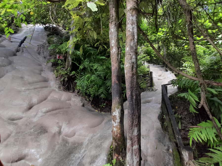 Chiang Mai: 4-Hour Sticky Waterfall Private Tour - A self-guided visit, not a guided nature tour