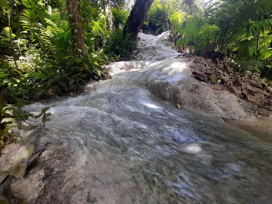 Chiang Mai: 4-Hour Sticky Waterfall Private Tour - How the $118 private price works