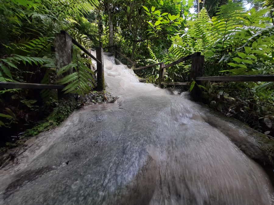 Chiang Mai: 4-Hour Sticky Waterfall Private Tour - Timing your half-day