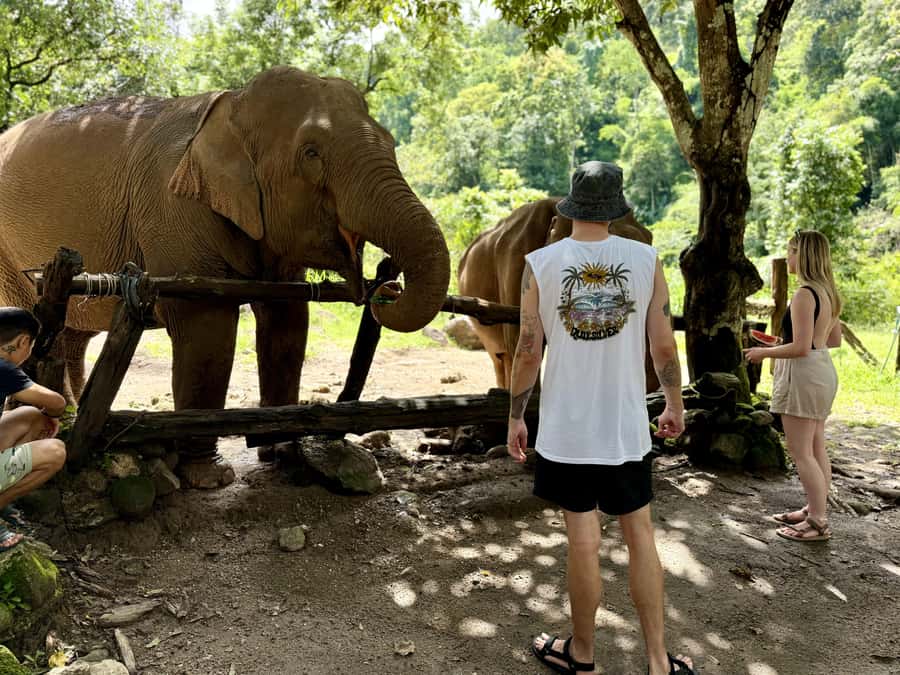 Chiang Mai Adventure: Trekking, Tubing & Waterfall Slide - What to pack for comfort and safety