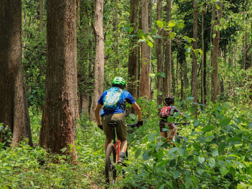 Chiang Mai: Boat Ride and Cycling Tour to Sticky Waterfall - Why this Chiang Mai cycling tour feels different