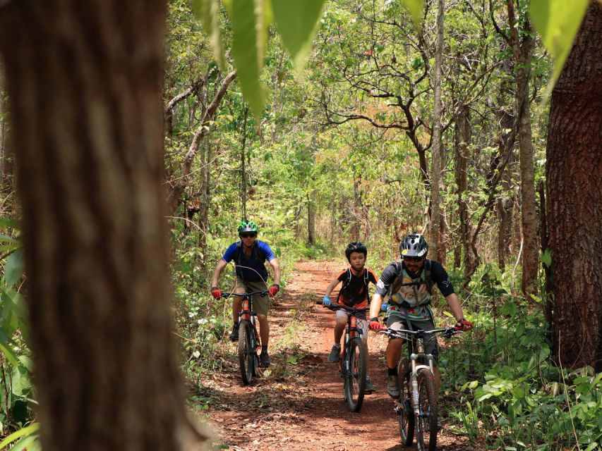 Chiang Mai: Boat Ride and Cycling Tour to Sticky Waterfall - Teak forest trails and the bat cave