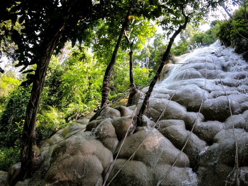 Chiang Mai: Boat Ride and Cycling Tour to Sticky Waterfall - Lunch, snacks, and the support vehicle