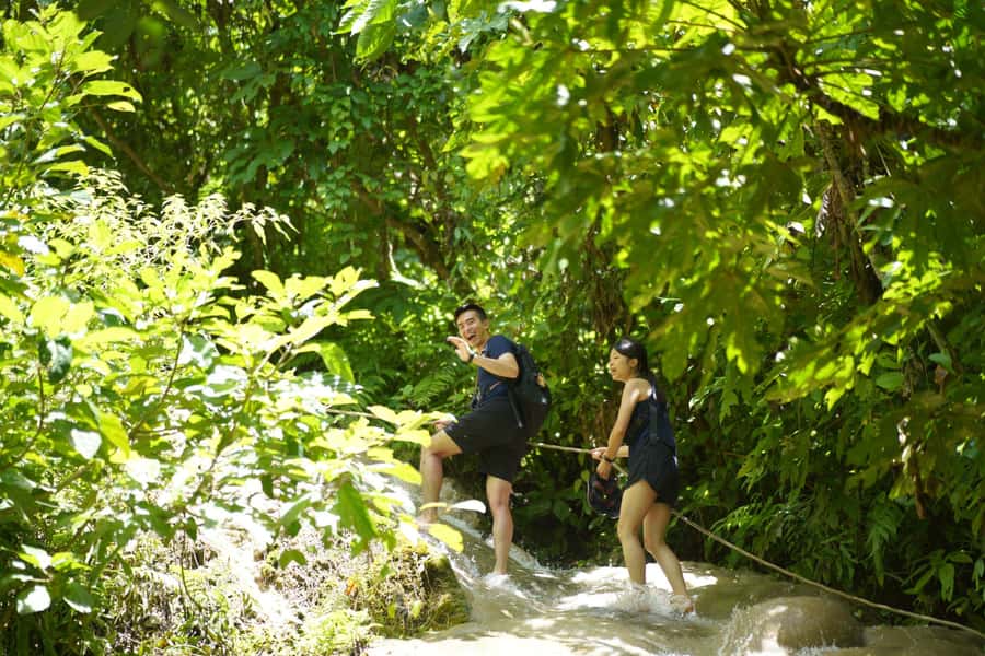 Chiang Mai: Bua Thong Sticky Waterfall & Huge Cave & Buffet - Why the Sticky Waterfall is worth the drive