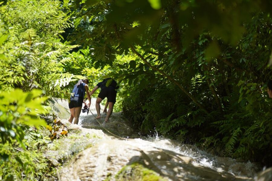 Chiang Mai: Bua Thong Sticky Waterfall & Huge Cave & Buffet - Climbing all four levels of Sticky Waterfall