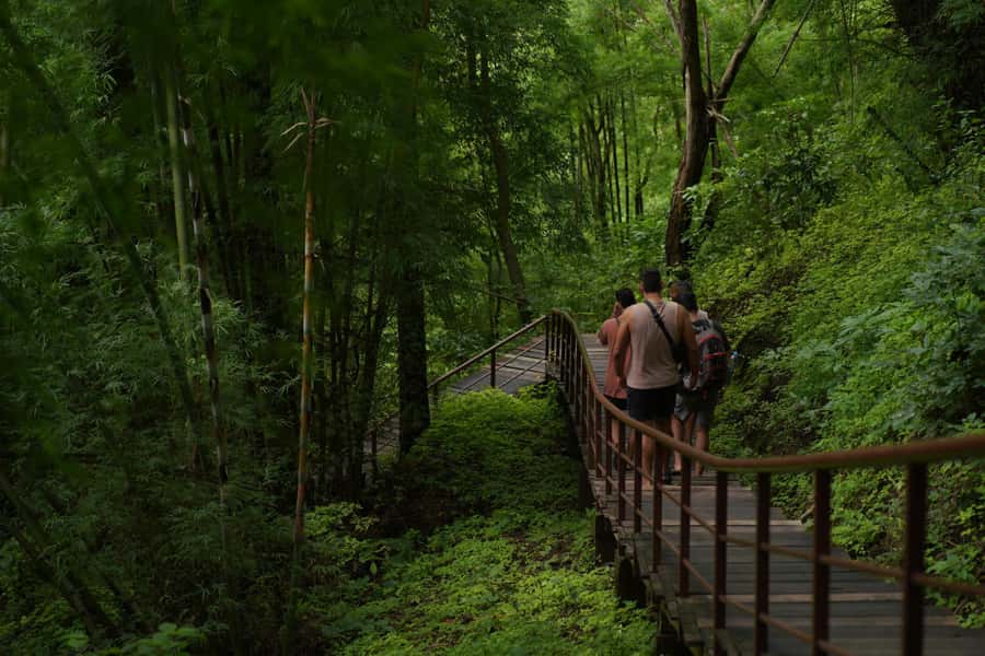 Chiang Mai: Bua Thong Sticky Waterfall & Huge Cave & Buffet - Lunch, fruit, and the practical value of $30