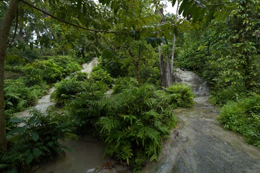 Chiang Mai: Bua Thong Sticky Waterfall & Huge Cave & Buffet - Which guide can make the biggest difference