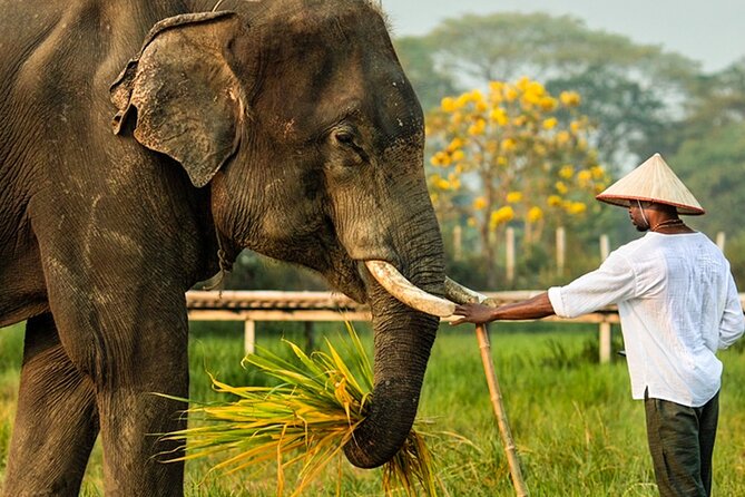 Chiang Mai Chapulin Elephant Care and Sticky Waterfall - Walking together through the jungle