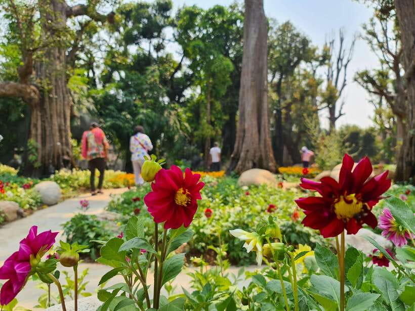Chiang Mai: Dantewada Land of Angels & Sticky Waterfall Tour - Is $54 fair value?