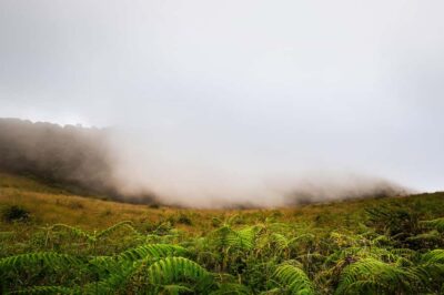 Doi Inthanon National Park, Waterfall & Lunch