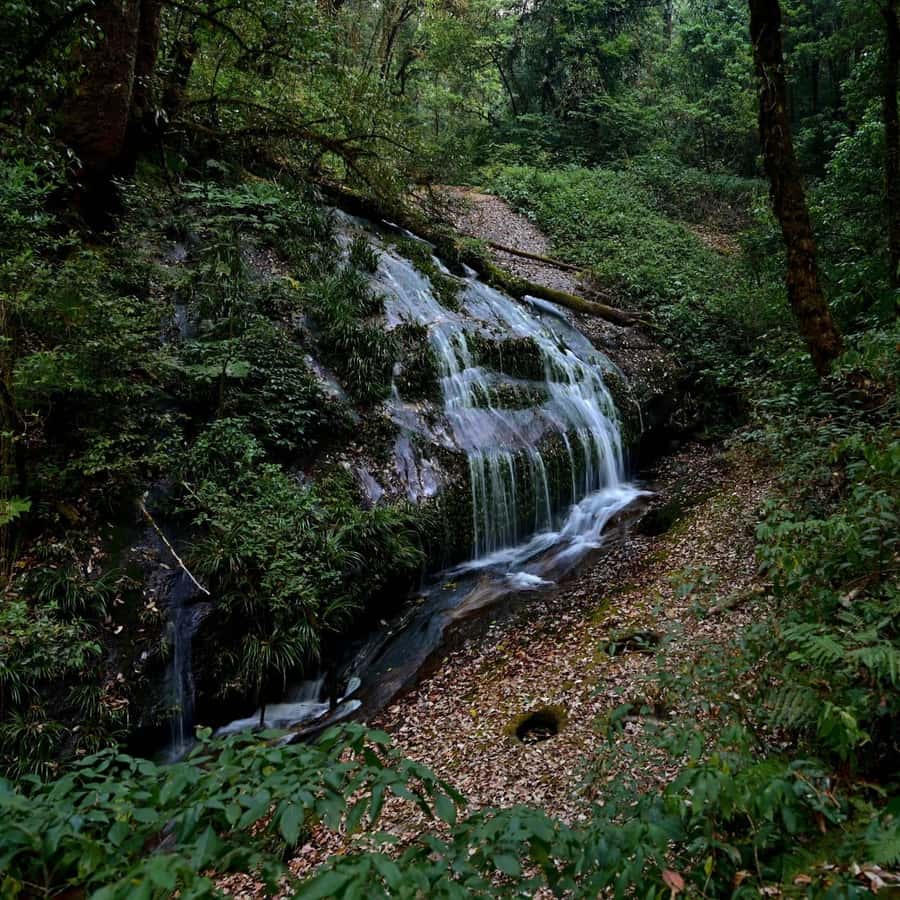 Chiang Mai: Doi Inthanon National Park, Waterfall & Lunch - Lunch near the Karen village