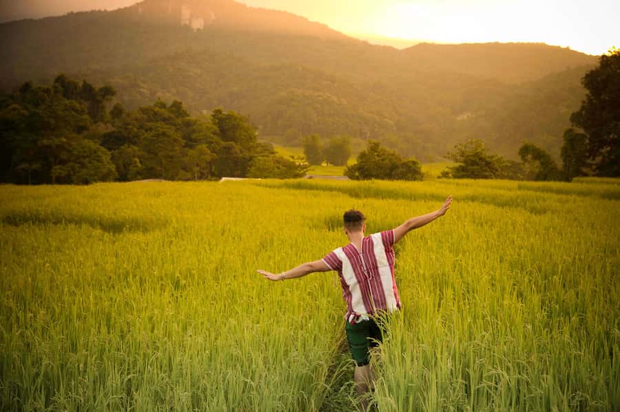 Chiang Mai: Doi Inthanon National Park, Waterfall & Lunch - What the $37 price really covers
