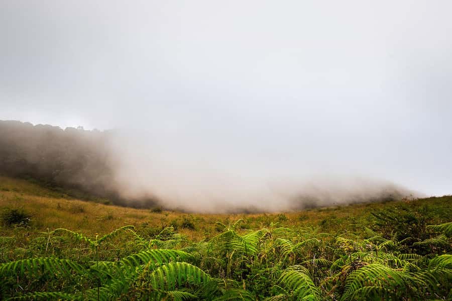 Chiang Mai: Doi Inthanon National Park, Waterfall & Lunch - Waterfalls first, with plenty of van time