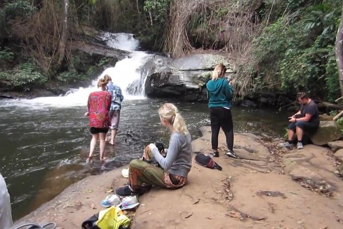 CHIANG MAI: Doi Inthanon-Trekking Pha Dok Seaw-Waterfall-Lunch - Twin Pagodas and the Hmong market