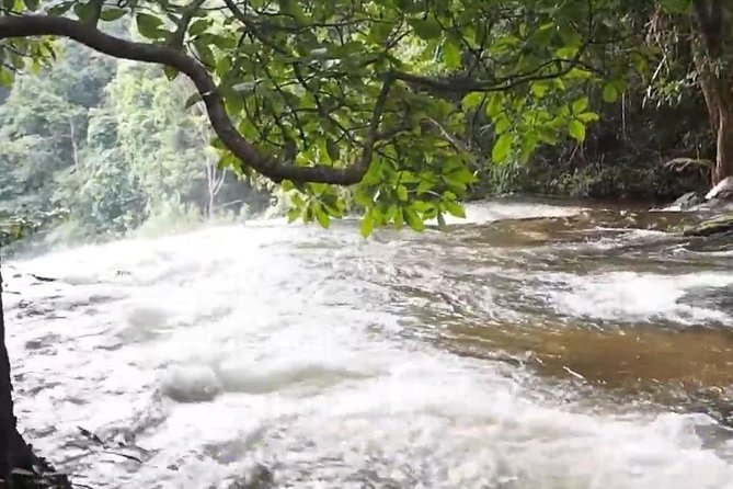 CHIANG MAI: Doi Inthanon-Trekking Pha Dok Seaw-Waterfall-Lunch - Doi Inthanon, Thailand’s highest point