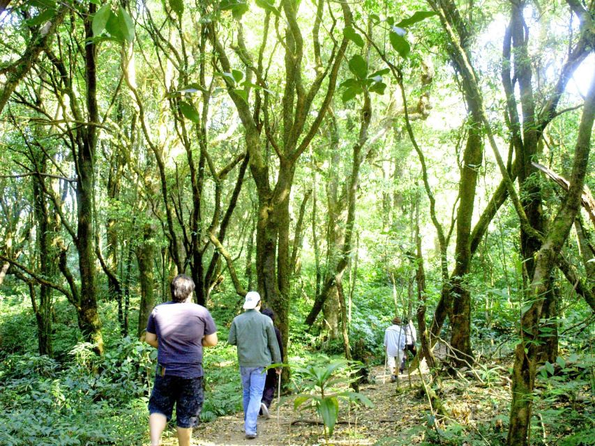 Chiang Mai: Doi Inthanon, Waterfalls, & Tribal Villages Tour - Lunch is convenient, not a reason to book