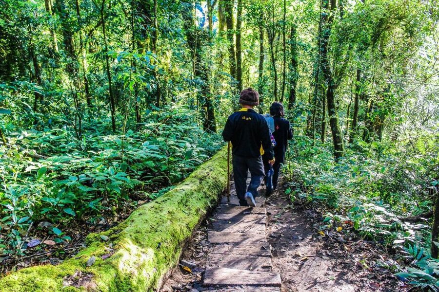 Chiang Mai: Doi Inthanon, Waterfalls, & Tribal Villages Tour - Karen and Hmong stops add the human side