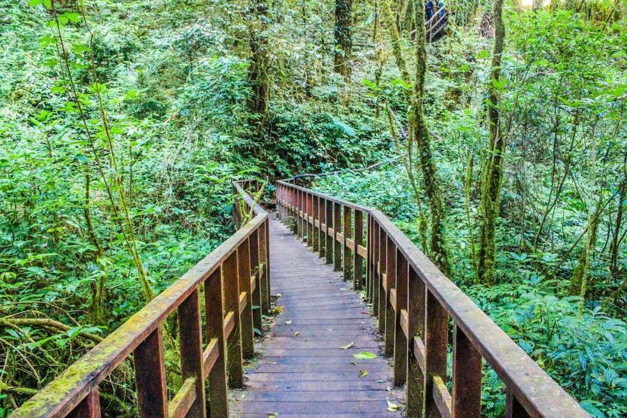 Chiang Mai: Doi Inthanon, Waterfalls, & Tribal Villages Tour - The guide can make or break the long drive