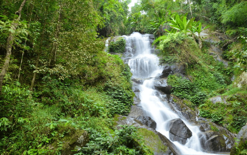 Chiang Mai: Doi Suthep Temple and Waterfall by Songtaew Trio - Wat Pha Lat: the most peaceful stop
