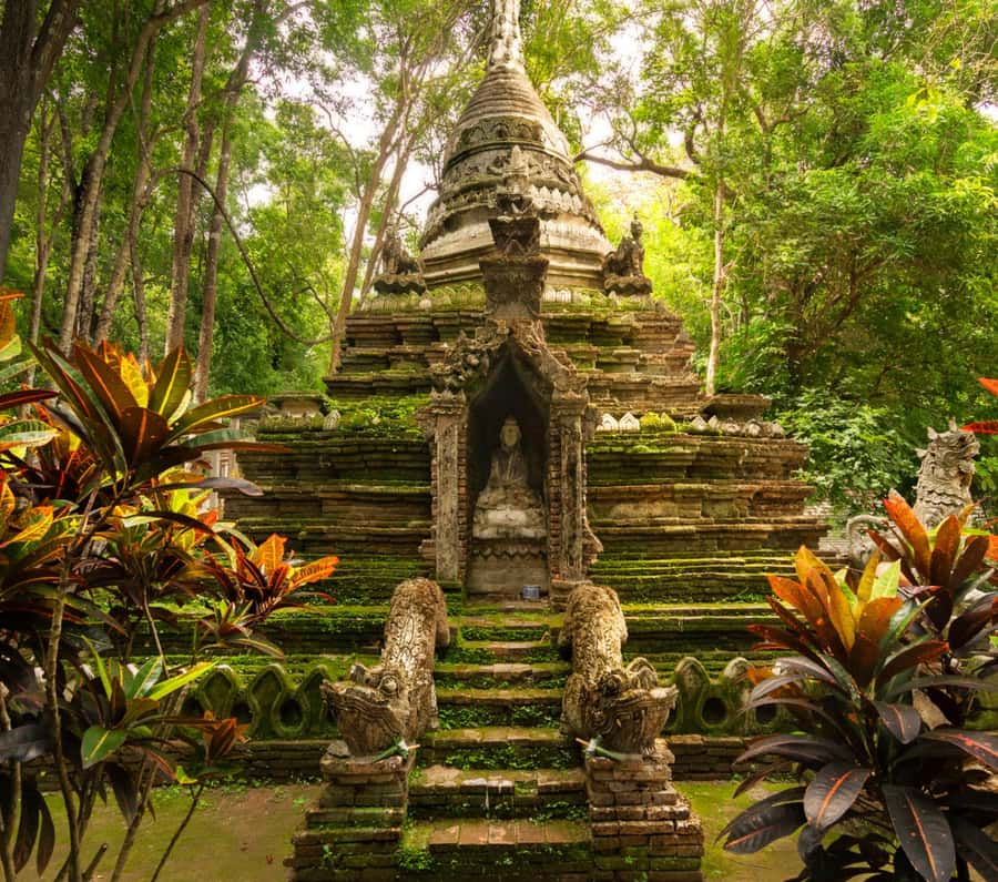 Chiang Mai: Doi Suthep Temple & Sticky Waterfall Trip - Key things to know before booking