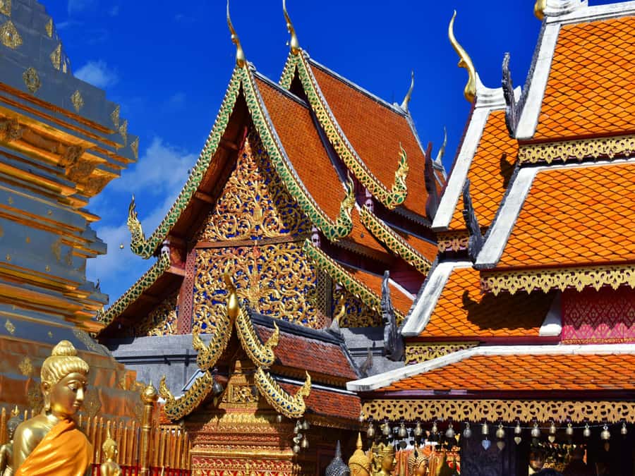 Chiang Mai: Doi Suthep Temple & Sticky Waterfall Trip - Who should book this Chiang Mai day trip?
