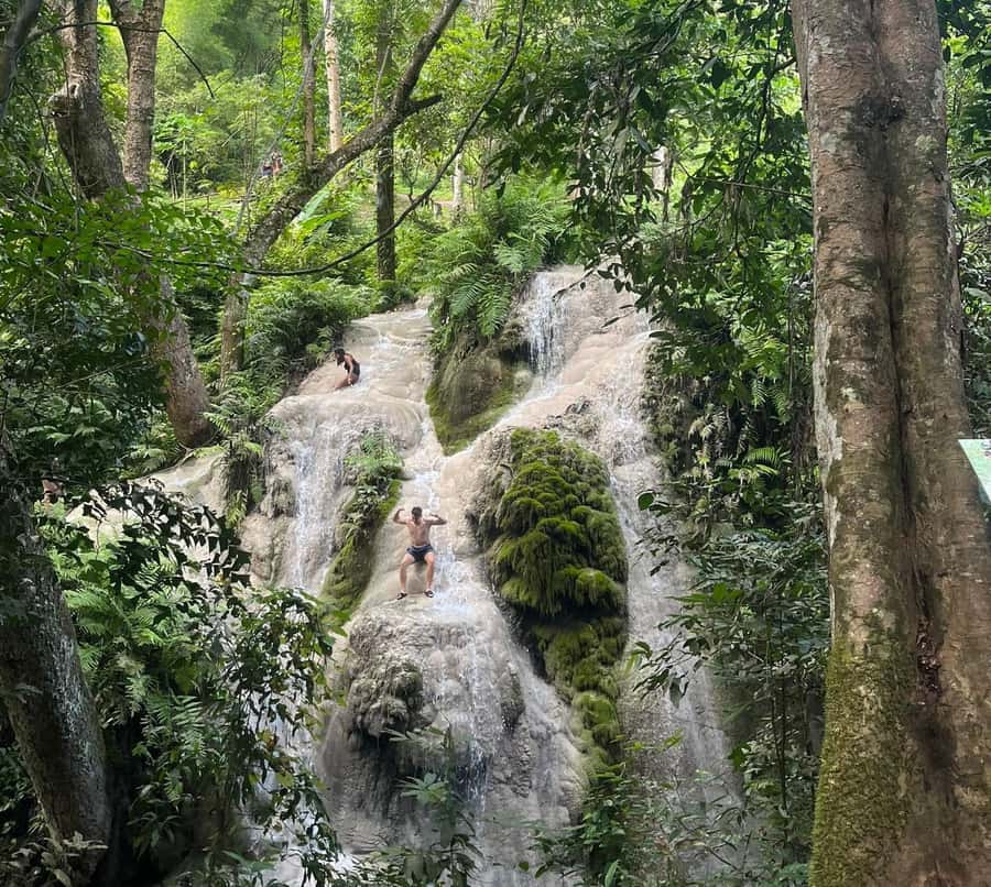 Chiang Mai: Doi Suthep Temple & Sticky Waterfall Trip - Orchid and Butterfly Farm: a colorful change of pace