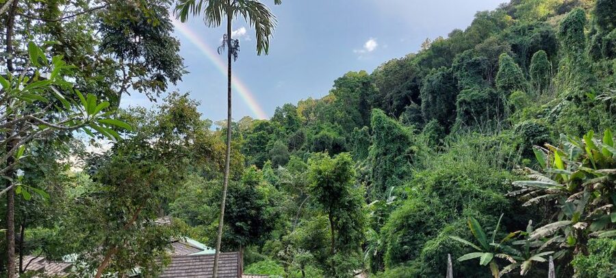 Chiang Mai: Doi Suthep Temple & Sticky Waterfall Trip - Sticky Waterfall: the day’s most unusual activity