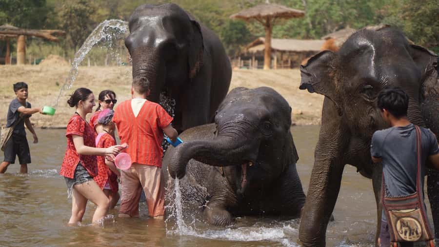 Chiang Mai: Elephant care & Long Neck &Sticky Waterfall Tour - Why this Chiang Mai day trip works