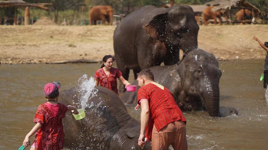 Chiang Mai: Elephant care & Long Neck &Sticky Waterfall Tour - Karen Long Neck village: a brief, sensitive cultural stop