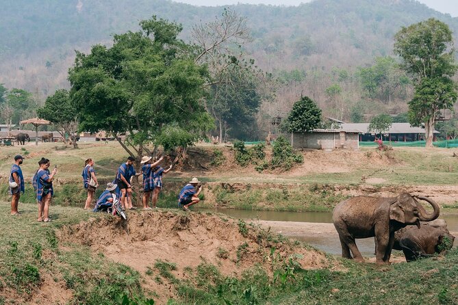 Chiang Mai Elephant Sanctuary, Bamboo Rafting and Waterfall Tour - Bamboo rafting through the forest